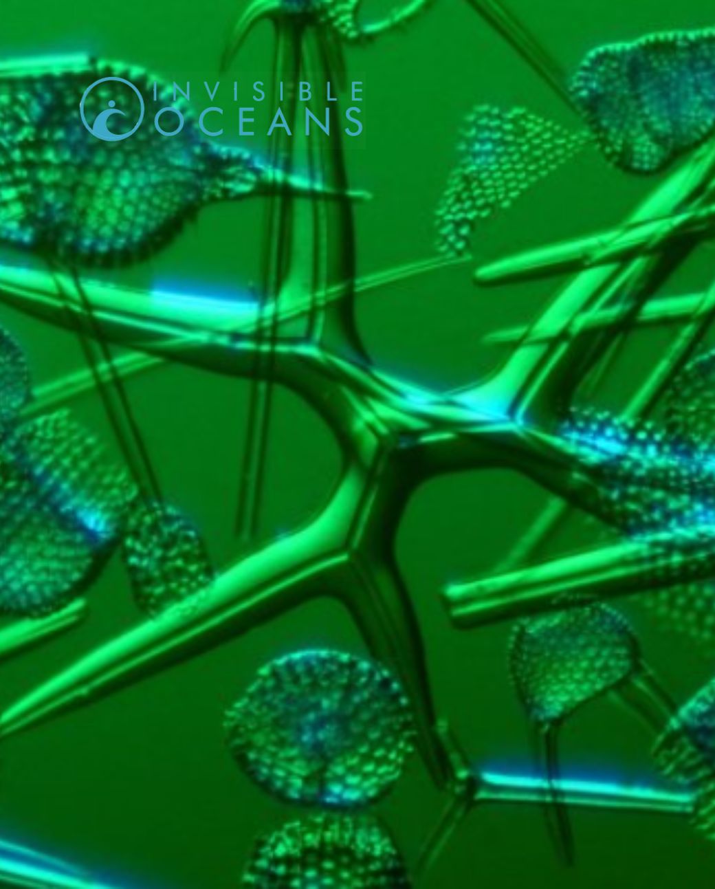 Invisible Oceans Image