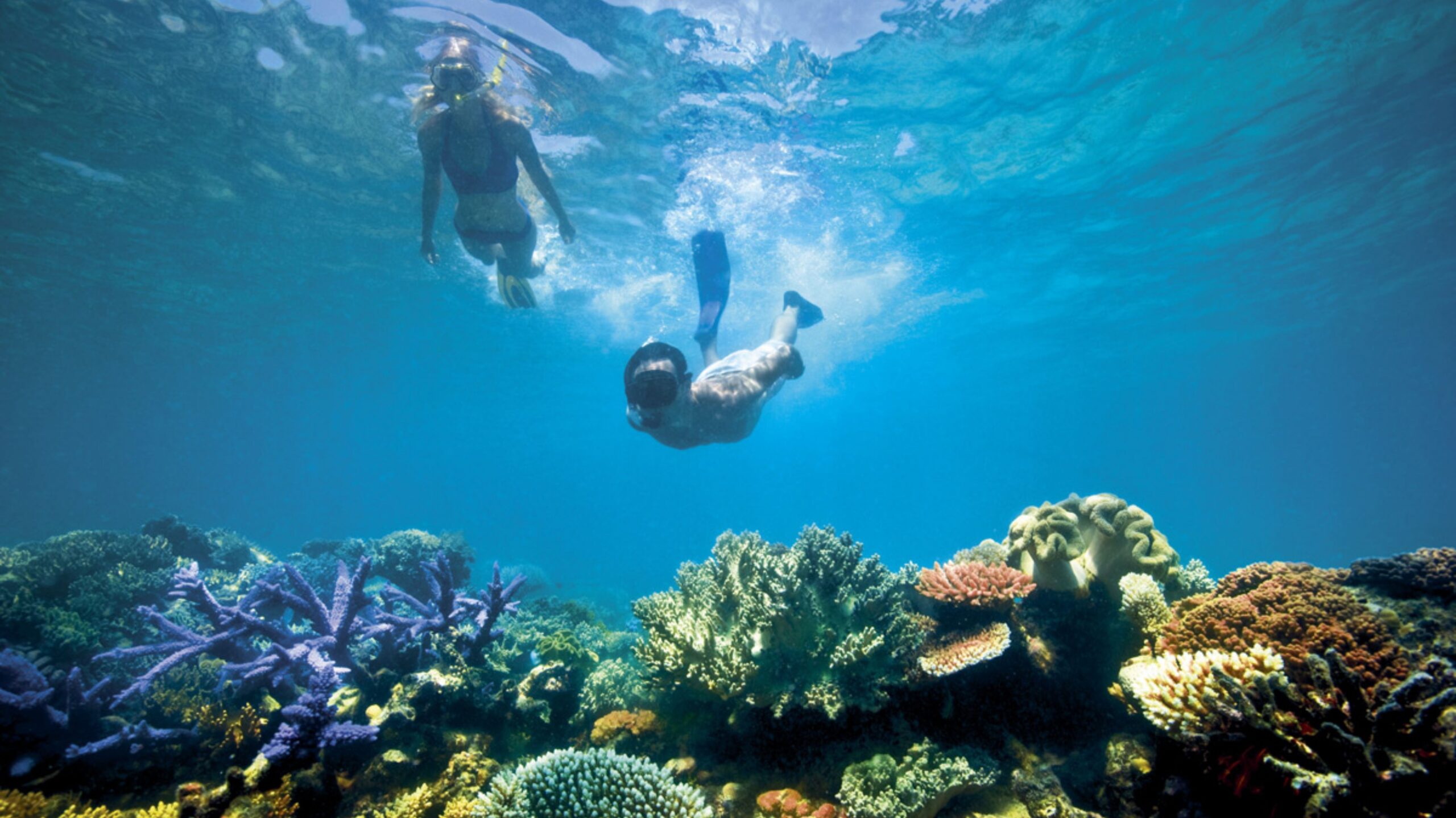 Lizard Island