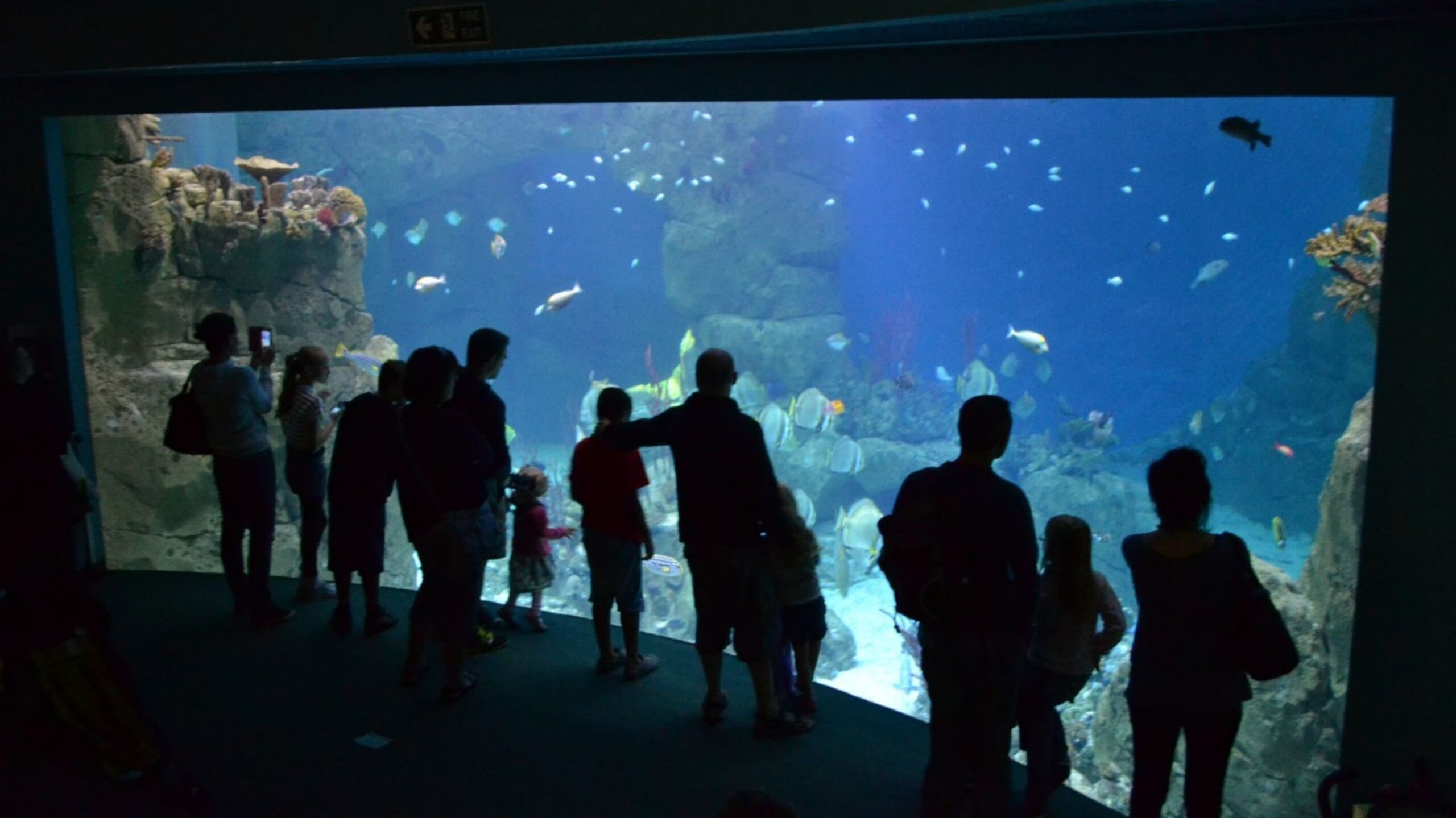 National Marine Aquarium