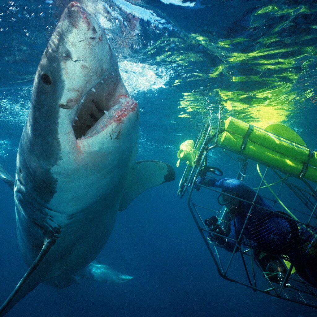 TOOG Team Diversity Image